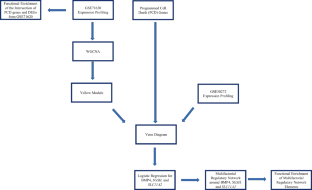 BMP4, SGSH, and SLC11A2 are Predicted to Be Biomarkers of Aging Associated with Programmed Cell Death