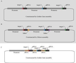 A Speed Cloning Method for Editing Multiple Targets