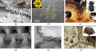 Accelerating Optimization Design of Bio-inspired Interlocking Structures with Machine Learning