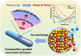 Flexoelectricity in hydroxyapatite for the enhanced piezocatalytic degradation of phenanthrene in soil†