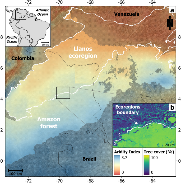 Current Forest–Savanna Transition in Northern South America Departs from Typical Climatic Thresholds