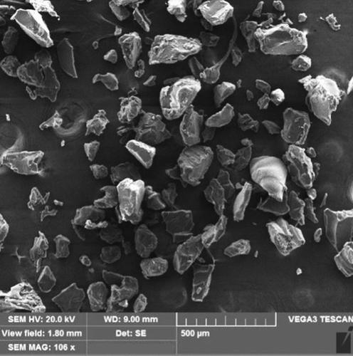 Biochemical effects of polypropylene microplastics on red tilapia (Oreochromis niloticus) after individual and combined exposure with boron