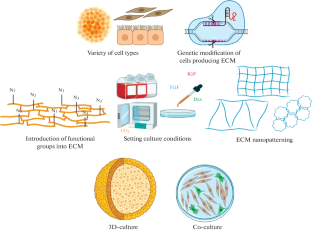 The Potential of Decellularized Cell-Derived Matrices for Biomedical Applications