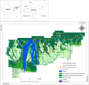 Do dholes segregate themselves from their sympatrids? Habitat use and carnivore co-existence in the tropical forest