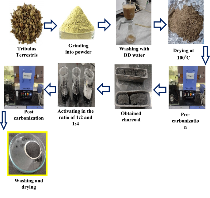 Biomass stemmed activated carbon electrodes toward a significant electric double-layer capacitor