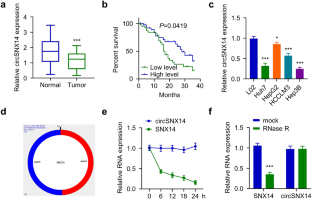 The circSNX14 functions as a tumor suppressor via the miR-562/ LATS2 pathway in hepatocellular carcinoma cells