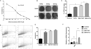 Vactosertib potently improves anti-tumor properties of 5-FU for colon cancer.