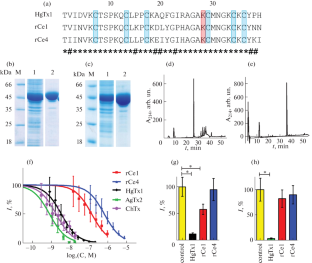 Recombinant Peptides Ce1 and Ce4 from the Venom of Scorpion Centruroides elegans and Their Interactions with Hybrid Channels KcsA-Kv1.x (x = 1, 3, 6)