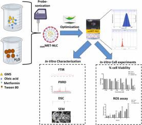 Nanostructured lipid carrier-loaded metformin hydrochloride: Design, optimization, characterization, assessment of cytotoxicity and ROS evaluation