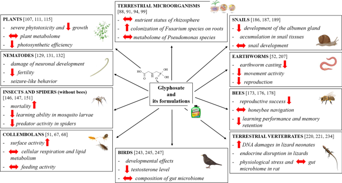 Terrestrial ecotoxicity of glyphosate, its formulations, and co-formulants: evidence from 2010–2023