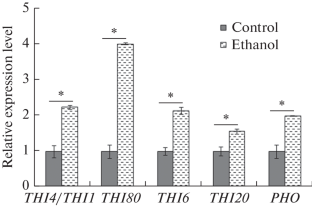 Exogenous Thiamine Application Improves the Survival of Wickerhamomyces anomalus under Ethanol Stress