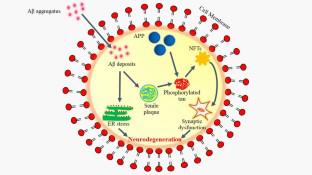 BIN1 in the Pursuit of Ousting the Alzheimer's Reign: Impact on Amyloid and Tau Neuropathology.