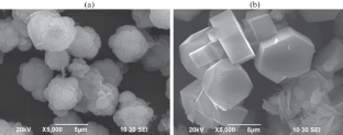 Study of the Effect of the Template Nature on the Physicochemical and Catalytic Properties of ZSM-5 Zeolites and Mo/ZSM-5 Catalysts