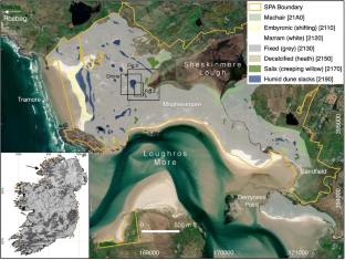 Down the rabbit-hole: satellite-based analysis of spatiotemporal patterns in wild European rabbit burrows for better coastal dune management