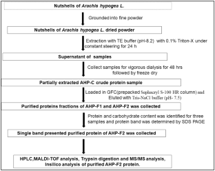 Partial characterization of purified glycoprotein from nutshell of Arachis hypogea L. towards macrophage activation and leishmaniacidal activity.