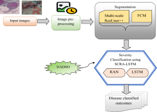 Multi-stage Attention-Based Long Short-Term Memory Networks for Cervical Cancer Segmentation and Severity Classification