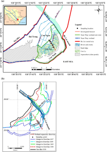 Temporal trends of sediment accumulation in the Xuan Thuy Natural Wetland Reserve (Ba Lat coastal area of the Red River, Vietnam) and implications for future coastal wetland development