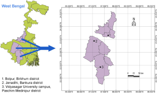 The botanical origin of cerumen and propolis of Indian stingless bees (Tetragonula iridipennis Smith): pollen spectrum does not accurately indicate latex and resin sources