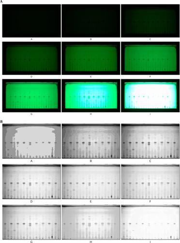 High dynamic range in videodensitometry—a comparative study to classic videoscanning on Gentiana extracts