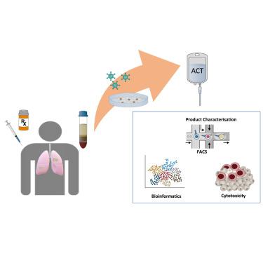 Pre-treatment with systemic agents for advanced NSCLC elicits changes in the phenotype of autologous T cell therapy products.