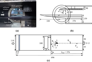 Control of separation shock unsteadiness in an incident-shock-induced interaction