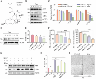 PPARɑ Ligand Caudatin Improves Cognitive Functions and Mitigates Alzheimer's Disease Defects By Inducing Autophagy in Mice Models.