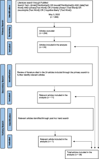 Rationales and Approaches to Protecting Brain Data: a Scoping Review