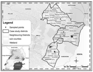 Factors influencing farmer choices of use of shade trees in coffee fields around Mount Elgon, Eastern Uganda