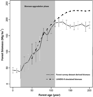 The problem of permanence for carbon sequestration in forests