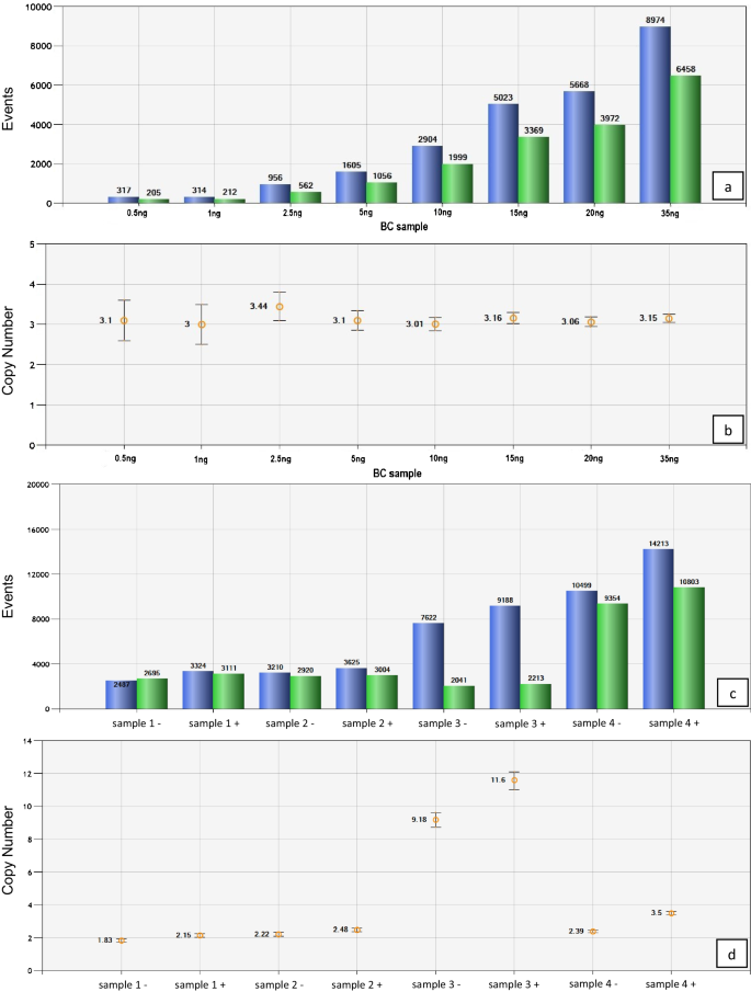 HER2 copy number determination in breast cancer using the highly sensitive droplet digital PCR method.