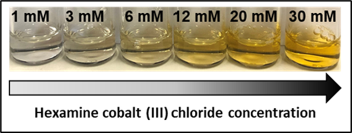 Effective interactions and phase behavior of protein solutions in the presence of hexamine cobalt(III) chloride