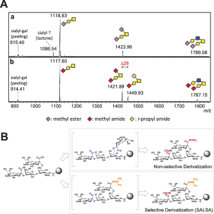 Simultaneous and sialic acid linkage-specific N- and O-linked glycan analysis by ester-to-amide derivatization.