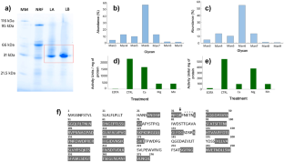 Comparative study, homology modelling and molecular docking with cancer associated glycans of two non-fetuin-binding Tepary bean lectins.