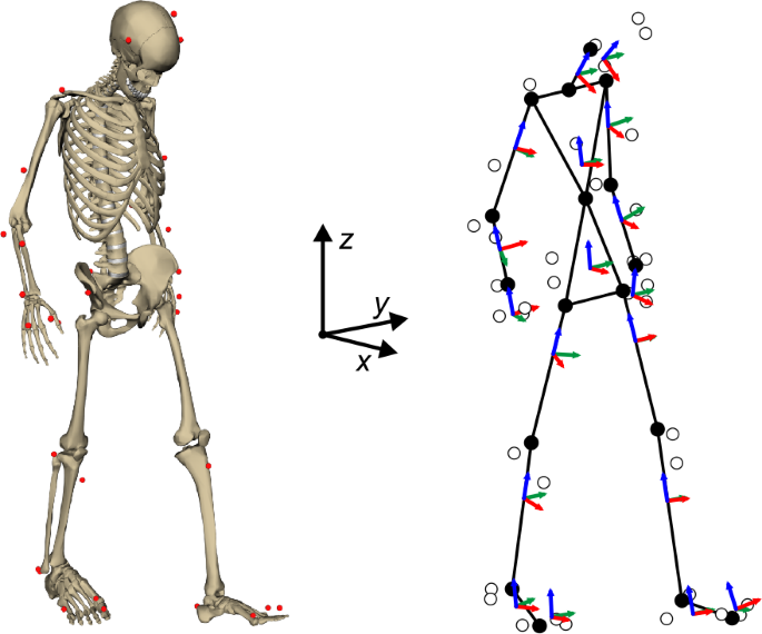 Human motion capture, reconstruction, and musculoskeletal analysis in real time