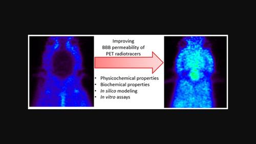 Strategies for designing novel positron emission tomography (PET) radiotracers to cross the blood–brain barrier