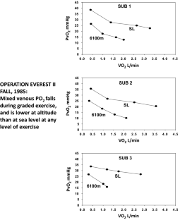 Determinants of maximal oxygen consumption.