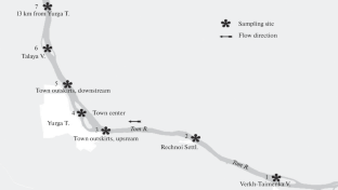 Chemical and Microbiological Composition of Tom River Bottom Sediments (Yurginskii District, Western Siberia)