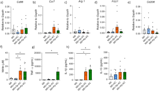 Different bacterial cargo in apoptotic cells drive distinct macrophage phenotypes