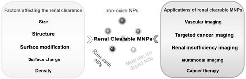 Renal clearable magnetic nanoparticles for magnetic resonance imaging and guided therapy.