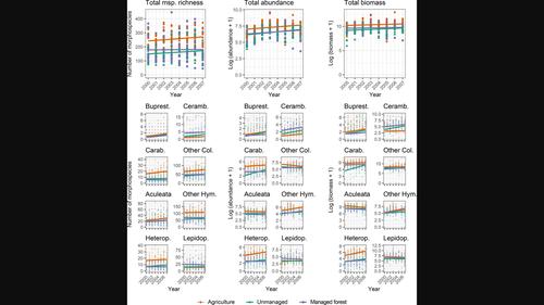 Similar temporal patterns in insect richness, abundance and biomass across major habitat types