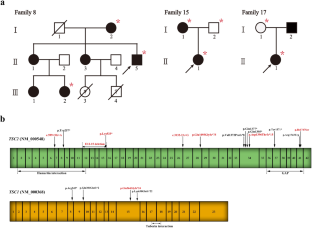 Genetic analysis of 18 families with tuberous sclerosis complex