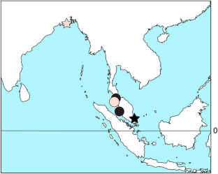 Ambassis octava, a new glass-perchlet species (Teleostei: Ovalentaria: Ambassidae) from Peninsular Malaysia