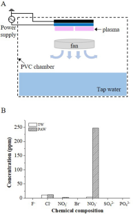 Effect of plasma-activated water on peanut seed germination and vegetative growth in a hydroponic system