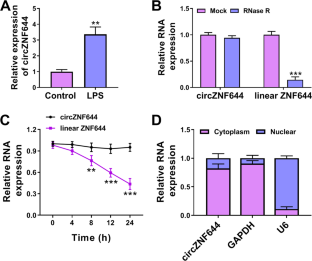 CircZNF644 aggravates lipopolysaccharide-induced HK-2 cell impairment via the miR-140-5p/MLKL axis.