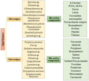 Potential avenue of genetic engineered algal derived bioactive compounds: influencing parameters, challenges and future prospects