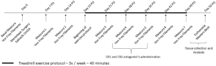 Exercise Improves Orofacial Pain and Modifies Neuropeptide Expression in a Rat Model of Parkinson's Disease.