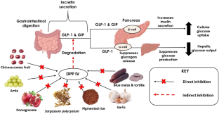 Plant Foods and Their Phytochemicals as DPP IV and PTP1B Inhibitors for Blood Glucose Regulation: A Review