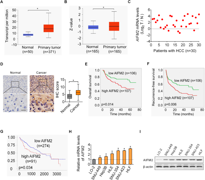 AIFM2 promotes hepatocellular carcinoma metastasis by enhancing mitochondrial biogenesis through activation of SIRT1/PGC-1α signaling.