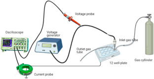 A Study on the Effect of Non-thermal Plasma on Macrophage Phenotype Modulation