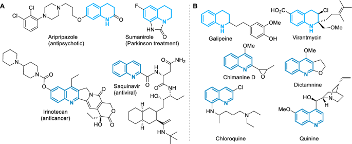 The Intramolecular Povarov Tool in the Construction of Fused Nitrogen-Containing Heterocycles